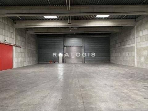 Ratingen Halle, Ratingen Hallenfläche