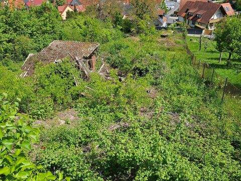 Würzburg Grundstücke, Würzburg Grundstück kaufen