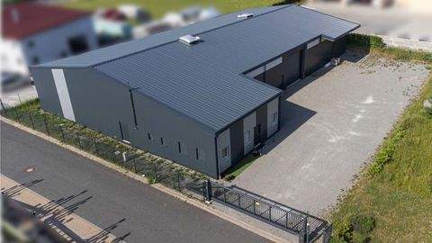 Giebelstadt Halle, Giebelstadt Hallenfläche