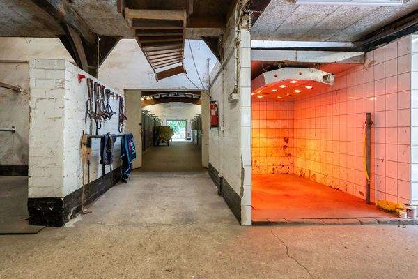 Solarium und Waschbox