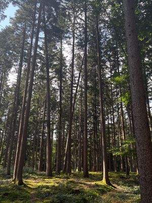 2025-08-22 15.23.23.jpg