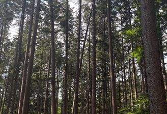 2025-08-22 15.23.23.jpg