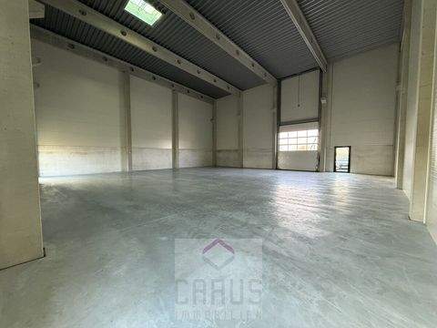 Plattling / Pankofen Halle, Plattling / Pankofen Hallenfläche