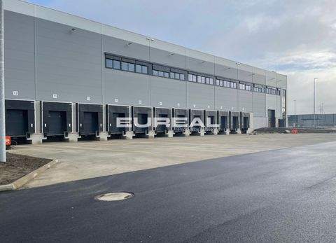 Köln Halle, Köln Hallenfläche