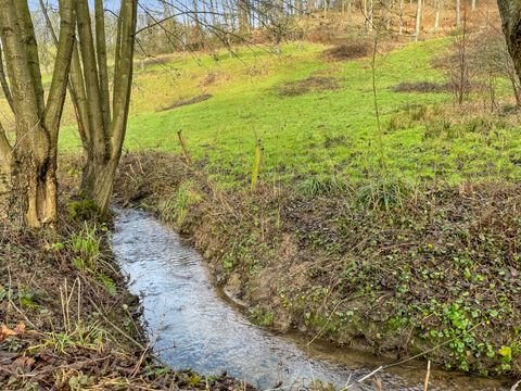 Weinheim Grundstücke, Weinheim Grundstück kaufen