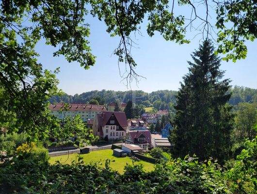 Umgebung Panoramablick 03