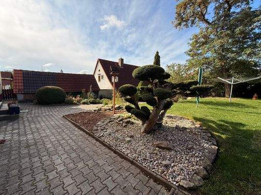 WhatsApp Image 2025-09-24 at 12.37.02 (3)