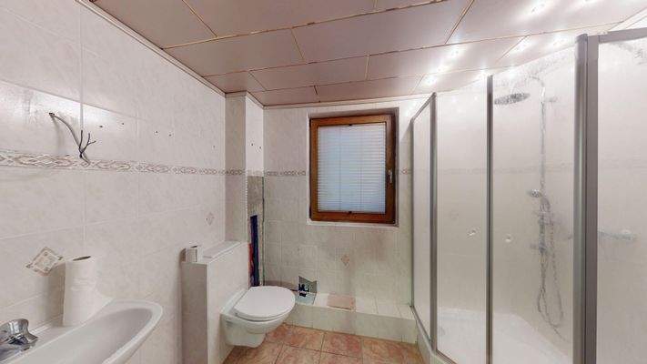 Tageslichtbad mit Dusche im EG