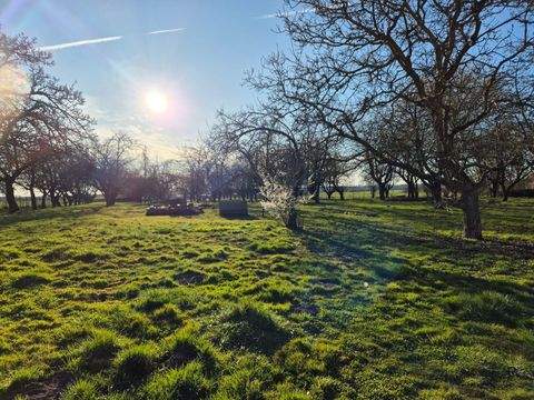 Meyenburg Häuser, Meyenburg Haus kaufen