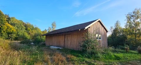 Fürstenstein Halle, Fürstenstein Hallenfläche