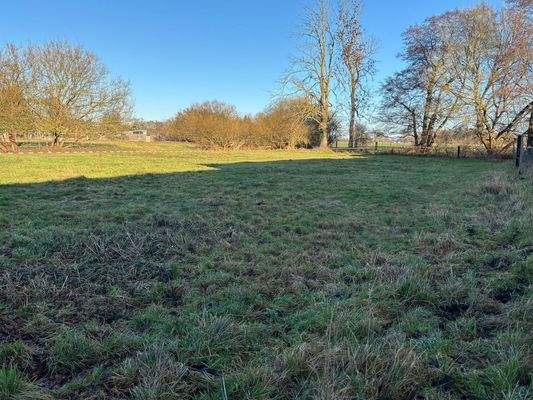 Großer Garten Ansicht 2