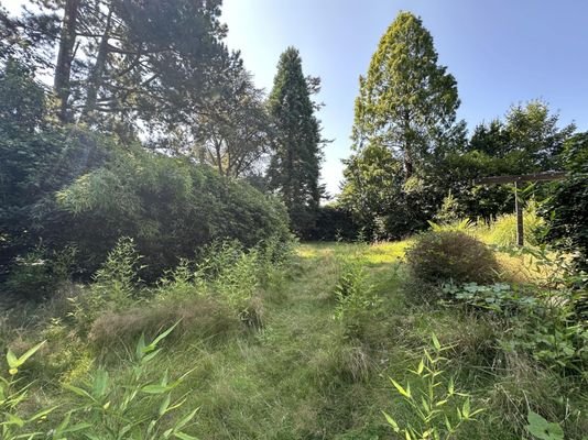 Gartenansicht hinten 
