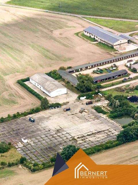 Bad Schmiedeberg Bauernhöfe, Landwirtschaft, Bad Schmiedeberg Forstwirtschaft