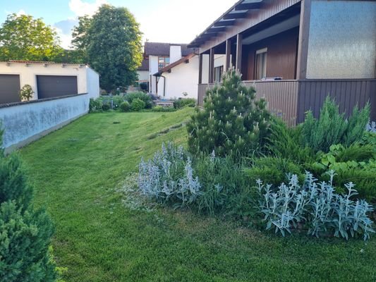Garten 1.jpg