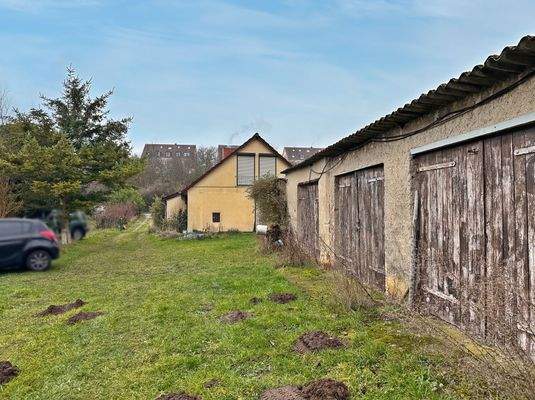 Blick aus dem Garten