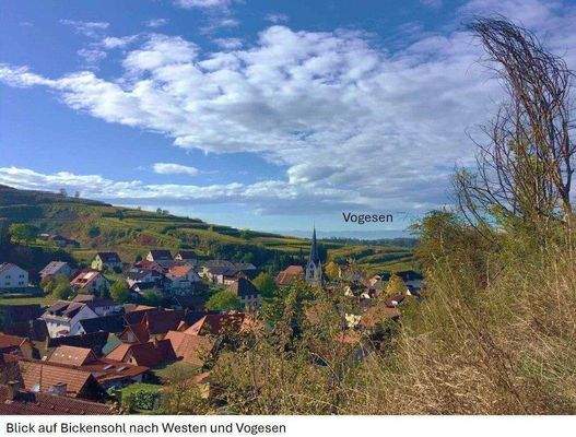 Weitsicht ohne Nachbaren