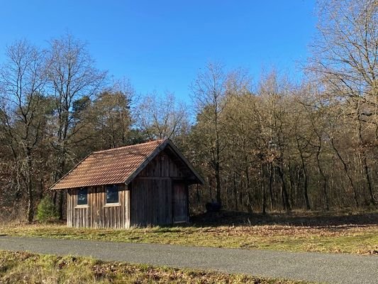 Hütte mit Blick in den Wald.jpg