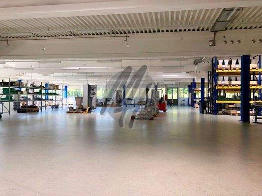 INFOS UNTER: 06171-586000