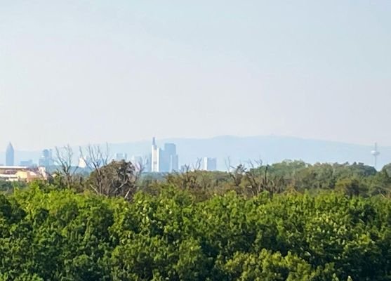 Fernblick auf Skyline + Taunus