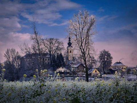 Grafenstein Häuser, Grafenstein Haus kaufen