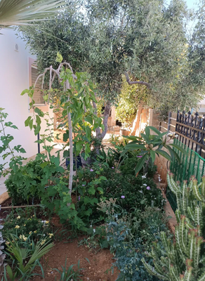 Kreta, Kokkini Hani: 2-stöckiges Haus zu verkaufen