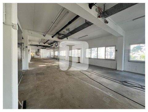 Hamburg Halle, Hamburg Hallenfläche