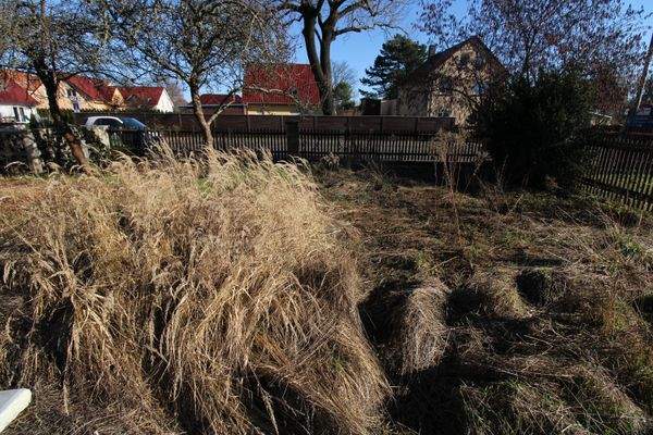 Straßenseitiger Garten