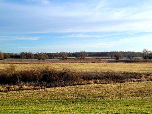 Blick auf die Elbe