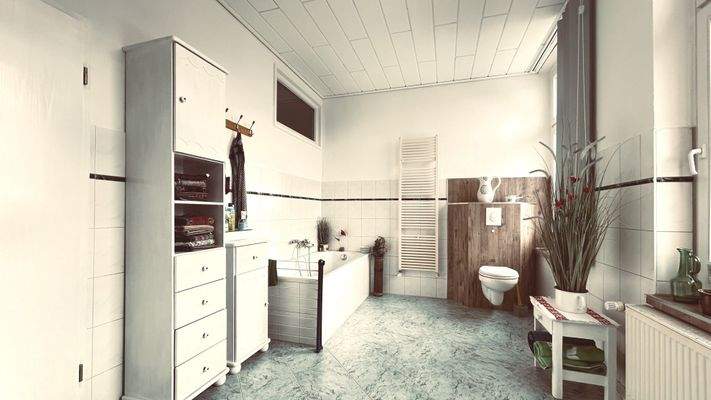 WE1 großzügiges Tageslichtbad mit Wanne