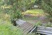 Der Fischteich 