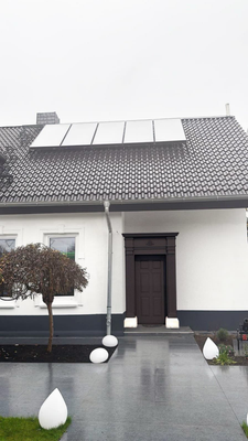 Visualisierung- Künstlerische Sicherheitshaustür mit Schnitzwerk (bereits bestellt und inkl.)