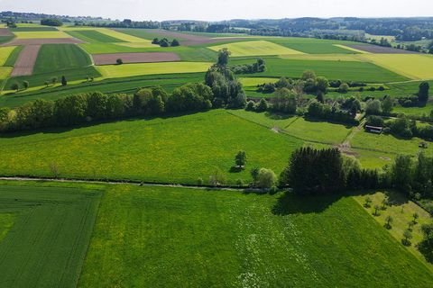 Dürmentingen-Hailtingen Grundstücke, Dürmentingen-Hailtingen Grundstück kaufen