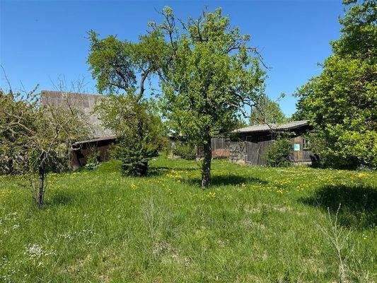 Garten mit Nebengebäude