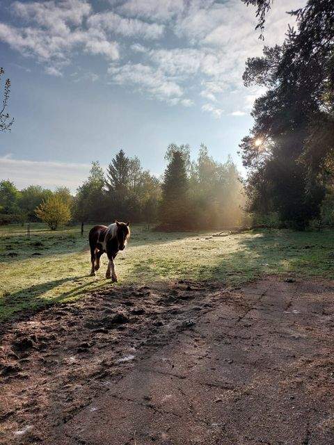 Kirkel / Limbach bei Homburg (Saar) Häuser, Kirkel / Limbach bei Homburg (Saar) Haus kaufen