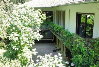 Perspektive mit Blick zur Terrasse und großflächigem Balkon