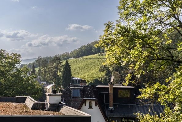 Blick zum Neroberg