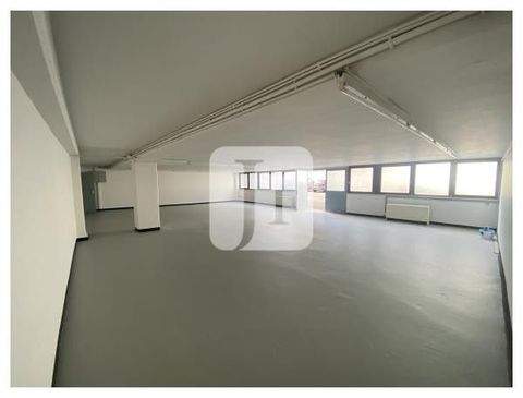 Hamburg Halle, Hamburg Hallenfläche