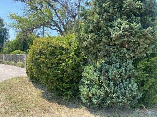 elado-ipari-ingatlan-dunaharaszti.iv-36080-18-1000