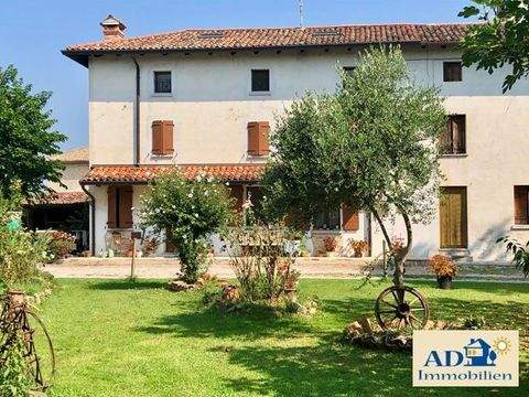 Lignano Sabbiadoro Häuser, Lignano Sabbiadoro Haus kaufen