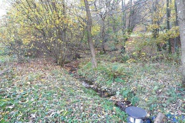 kleiner Bach auf dem Grundstück