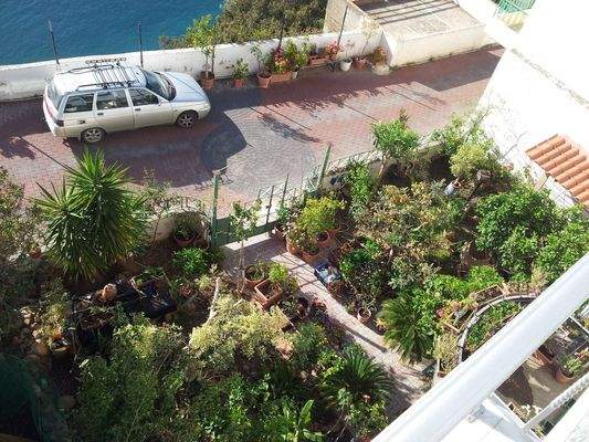 Blick in den Garten : URANOS