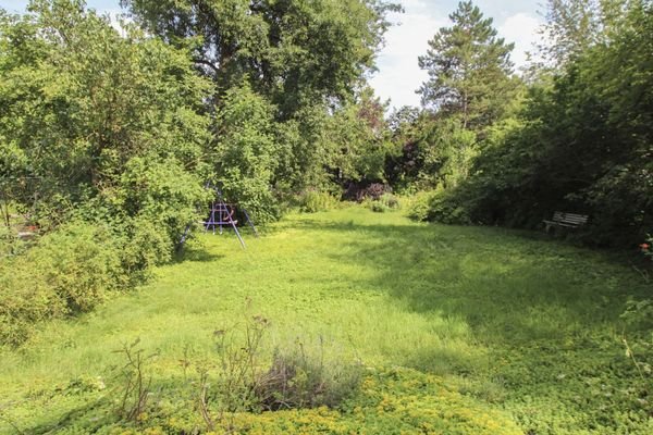 Blick in den Garten