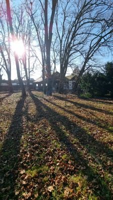 20250118_130419.jpg