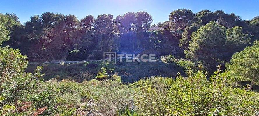 Standalone Villa with a Swimming Pool in Pinar de Campoverde