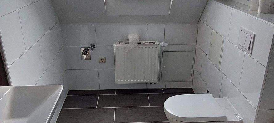 Tageslichtbad m. Wanne.jpg