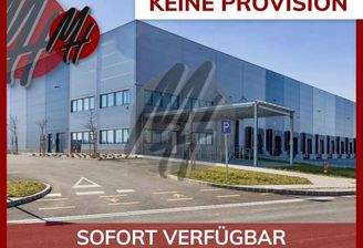 INFOS UNTER: 06171-586000