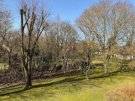 Gartenblick im Frühling
