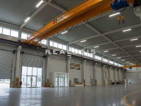 Reutlingen Halle, Reutlingen Hallenfläche