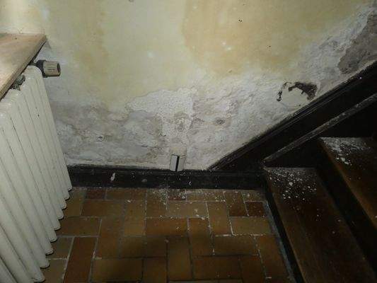 Feuchtigkeitsschaden Treppenaufgang zum 1.OG