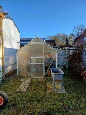 Gewächshaus.jpg